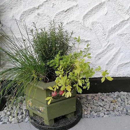 Enzian 2 - O Sole Mio Apartament Bad Kleinkirchheim