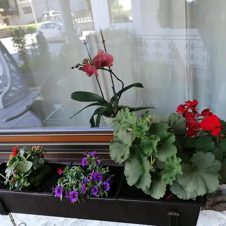 Enzian 2 - O Sole Mio Apartament Bad Kleinkirchheim