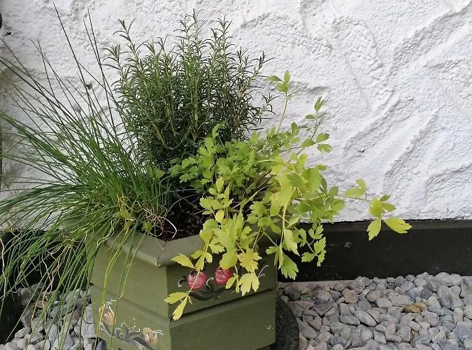 Enzian 2 - O Sole Mio Апартаменты Бад Кляйнкирххайм