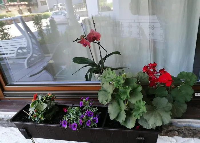 Enzian 2 - O Sole Mio Апартаменты Бад Кляйнкирххайм